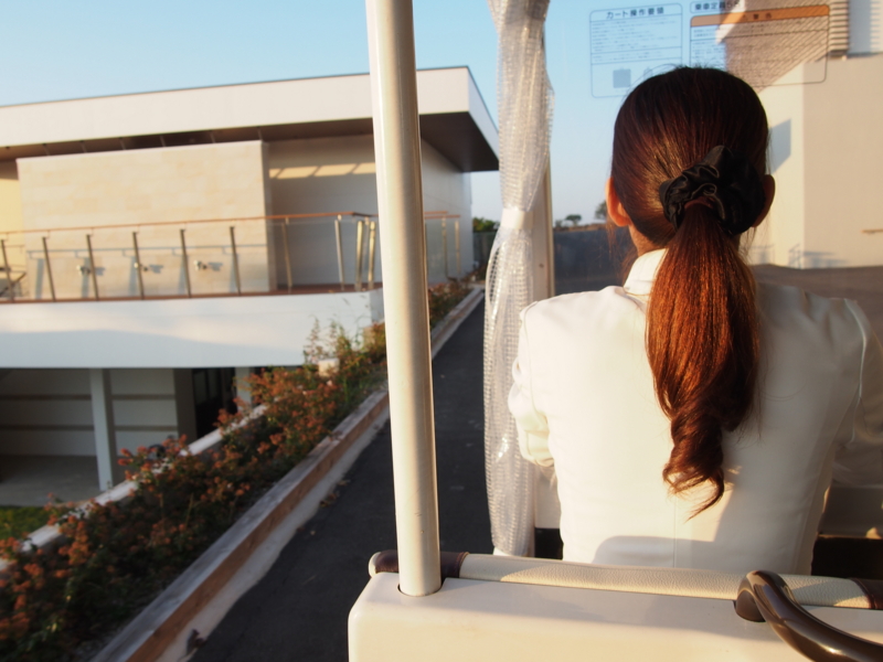 f:id:hanamizuki1966:20131027170006j:image:w300