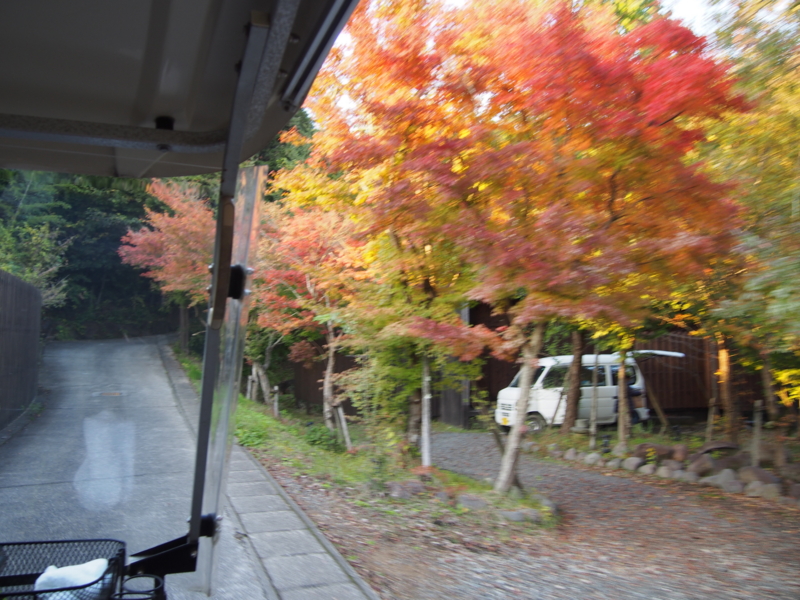 f:id:hanamizuki1966:20131115163115j:image:w450