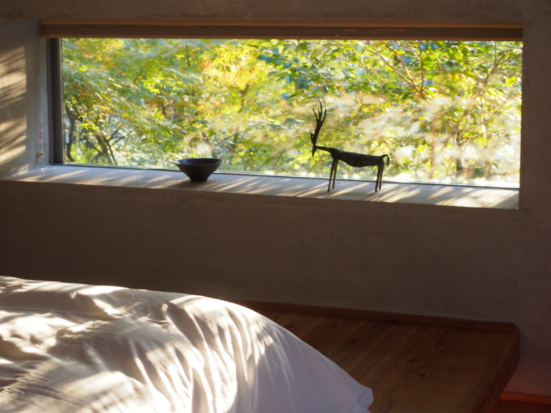 f:id:hanamizuki1966:20131115163603j:image:w450