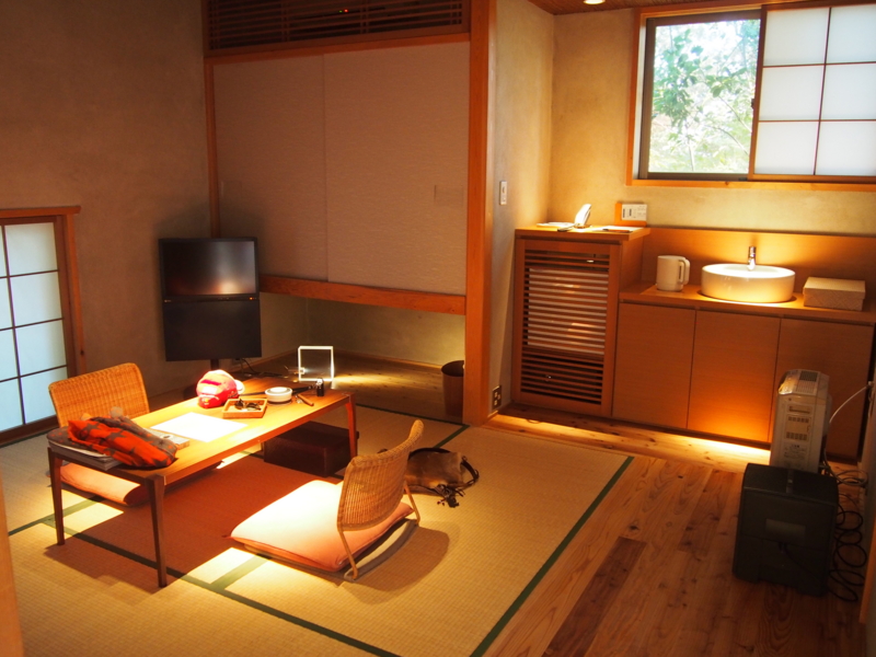 f:id:hanamizuki1966:20131115163812j:image:w450