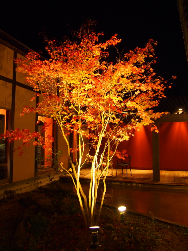 f:id:hanamizuki1966:20131115201257j:image:h400