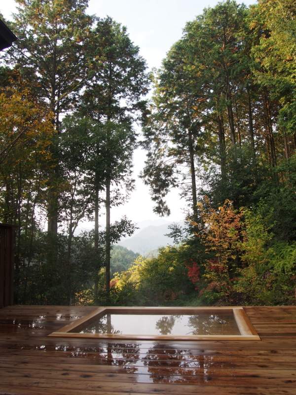 f:id:hanamizuki1966:20131116085009j:image:h400