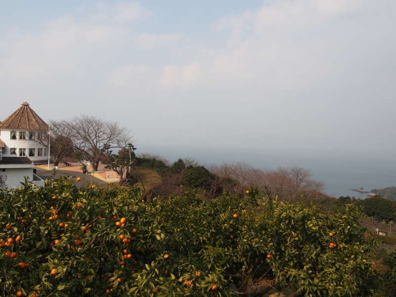 f:id:hanamizuki1966:20131231125129j:image:w450
