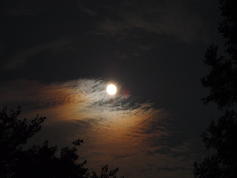 f:id:hanamizuki1966:20140909203427j:image:w450
