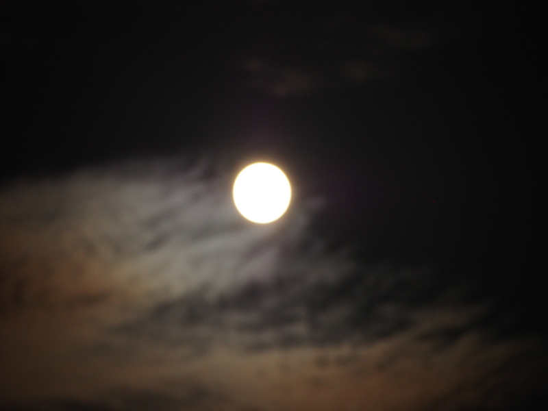 f:id:hanamizuki1966:20140909203454j:image:w450