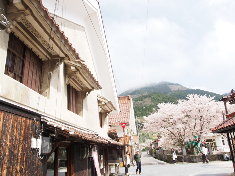 f:id:hanamizuki1966:20150404142135j:image:w400