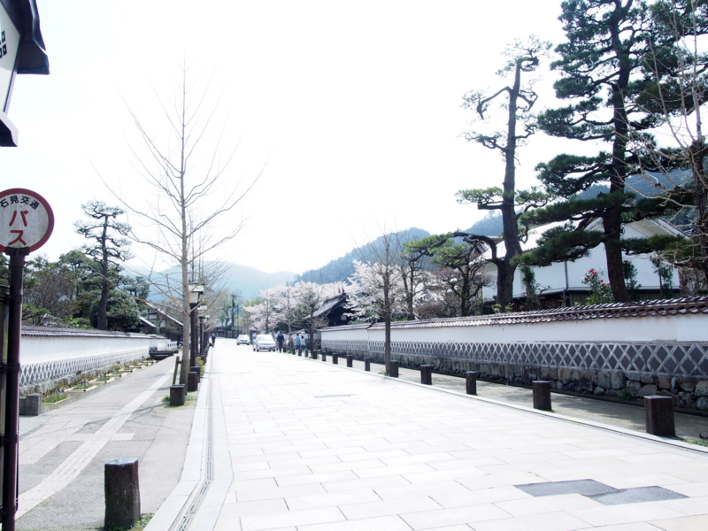 f:id:hanamizuki1966:20150404142317j:image:w400