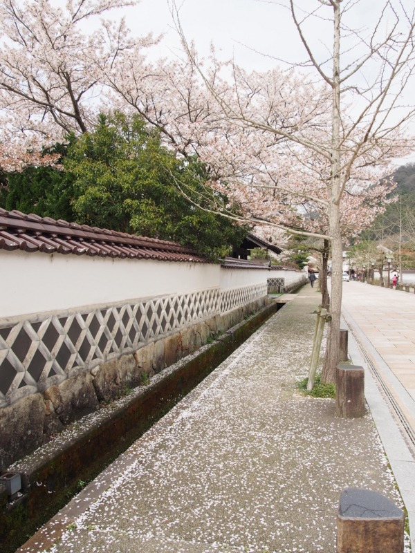 f:id:hanamizuki1966:20150404144359j:image:h400