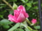 20150516131732