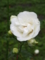 20150516132521