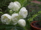 20150516132656