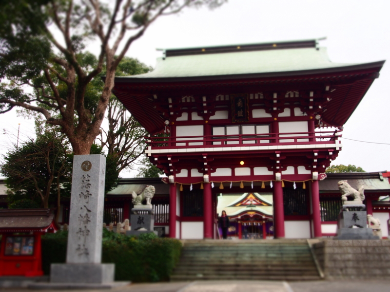 f:id:hanamizuki1966:20160113124556j:image:w400