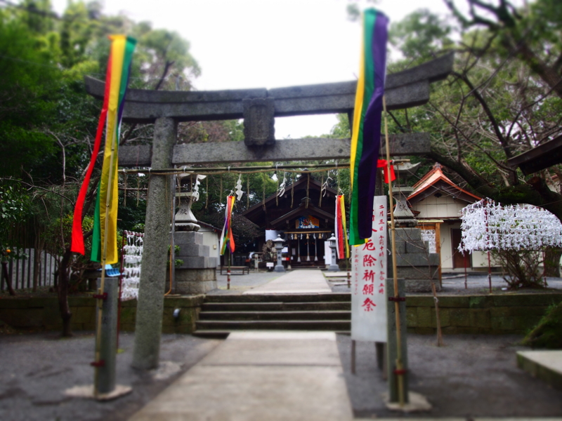 f:id:hanamizuki1966:20160127140623j:image:w400 f:id:hanamizuki1966:20160127140623j:image:w400