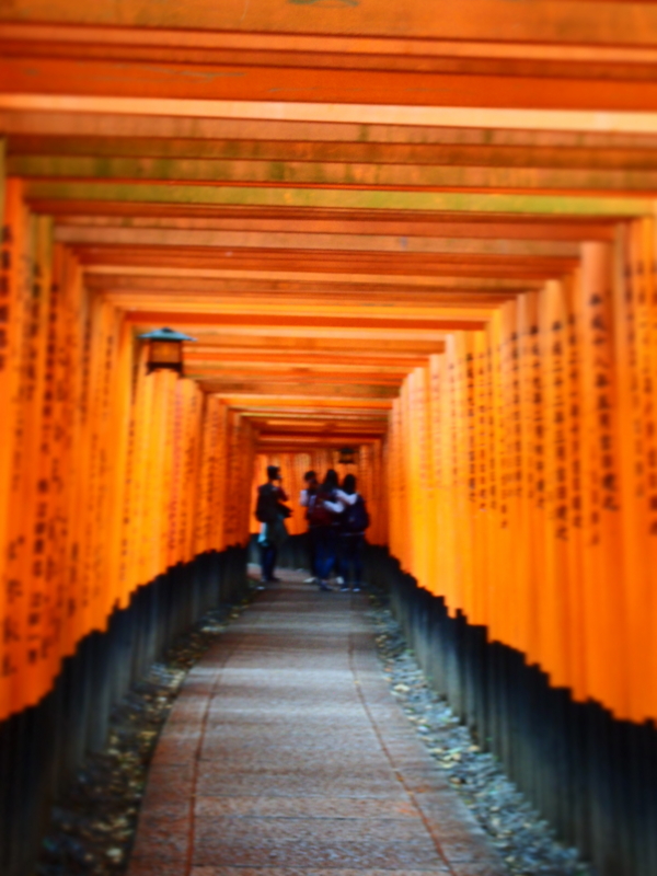 f:id:hanamizuki1966:20160607125412j:image:h450