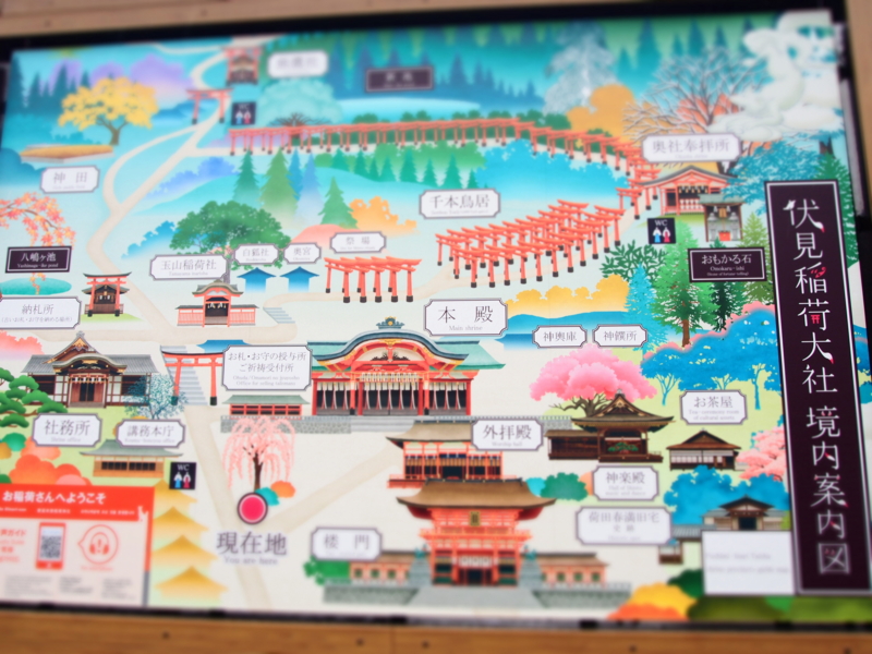 f:id:hanamizuki1966:20160607130310j:image:w450