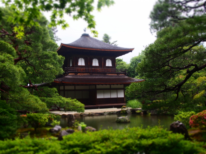 f:id:hanamizuki1966:20160607153643j:image:w450