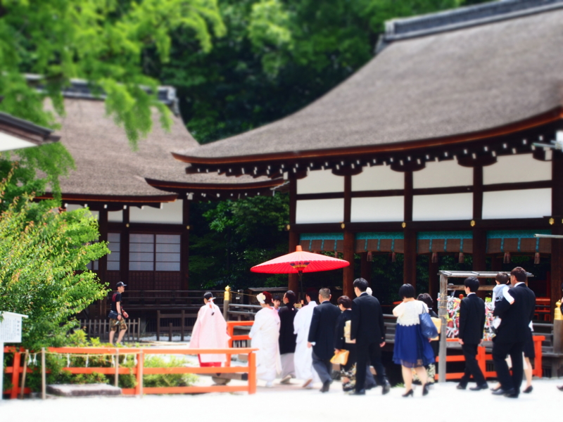 f:id:hanamizuki1966:20160608111905j:image:w450