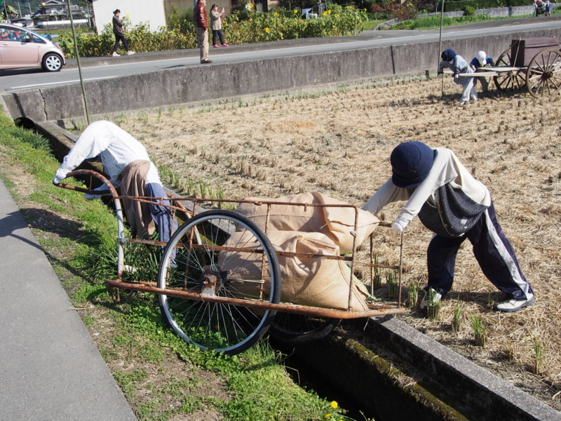 f:id:hanamizuki1966:20171112111826j:image:w400