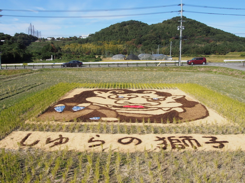f:id:hanamizuki1966:20171112115007j:image:w400