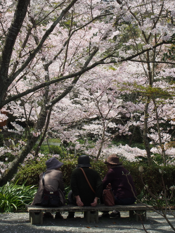 f:id:hanamizuki1966:20180401113812j:image:h400