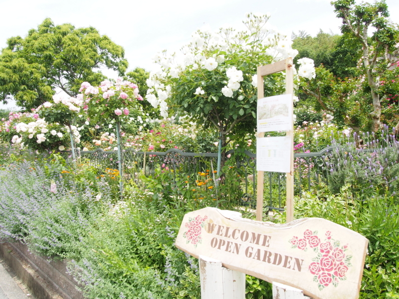 f:id:hanamizuki1966:20180516131635j:image:w450