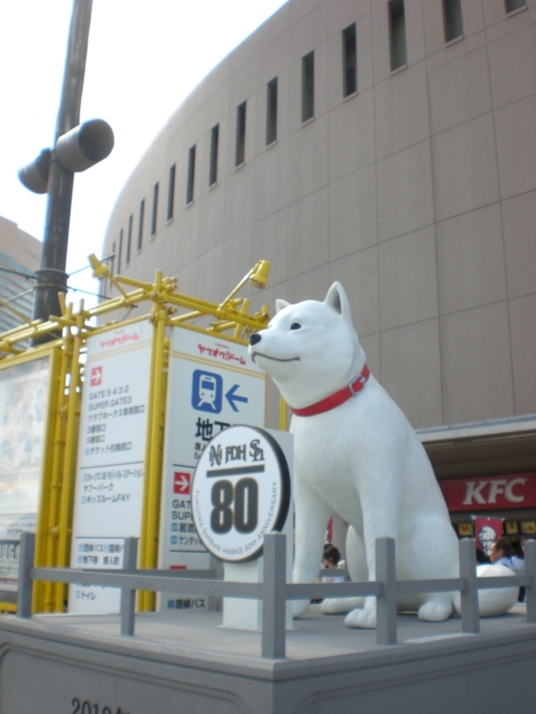 f:id:hanamizuki1966:20180522162348j:image:h450
