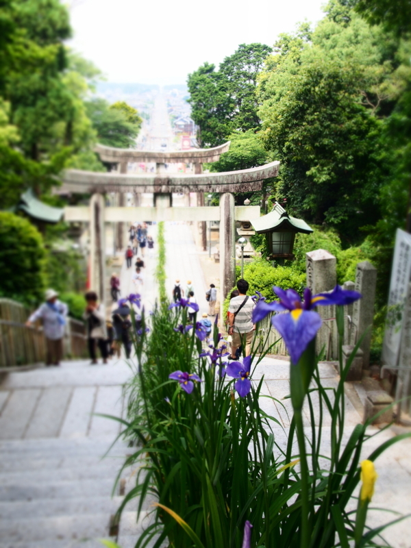 f:id:hanamizuki1966:20180603104829j:image:h450
