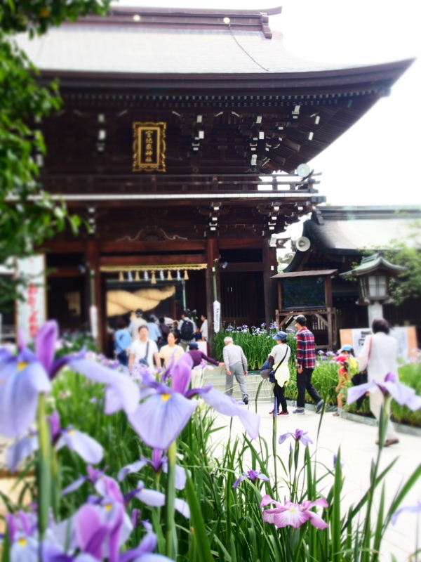 f:id:hanamizuki1966:20180603105035j:image:h450