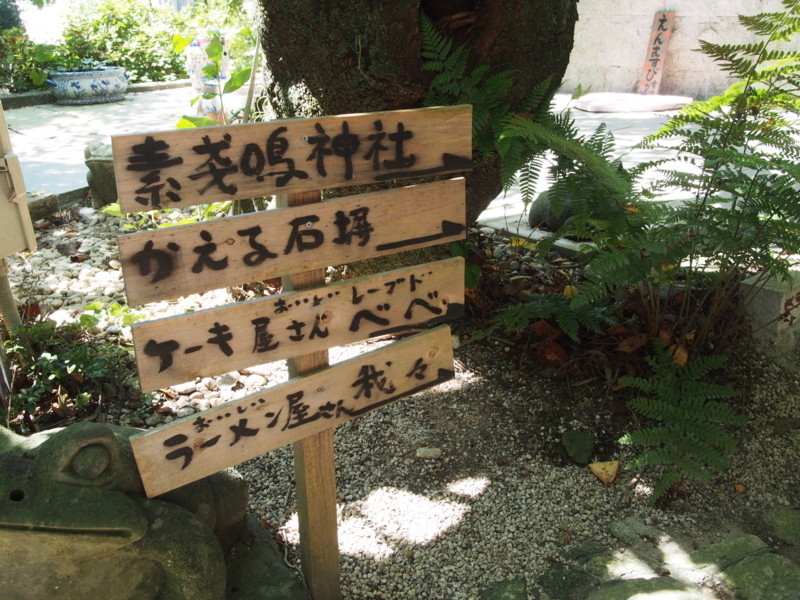 f:id:hanamizuki1966:20180808113036j:image:w400