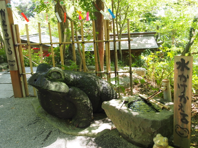 f:id:hanamizuki1966:20180808113103j:image:w400