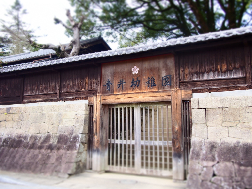 f:id:hanamizuki1966:20190225132705j:plain