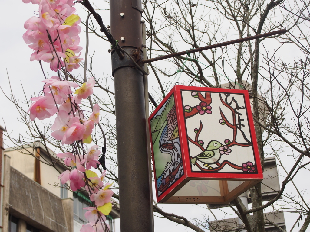 f:id:hanamizuki1966:20190225150607j:plain