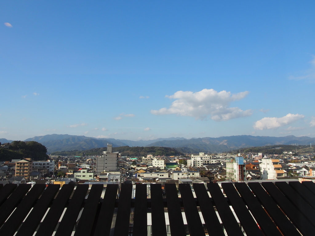f:id:hanamizuki1966:20190225160651j:plain