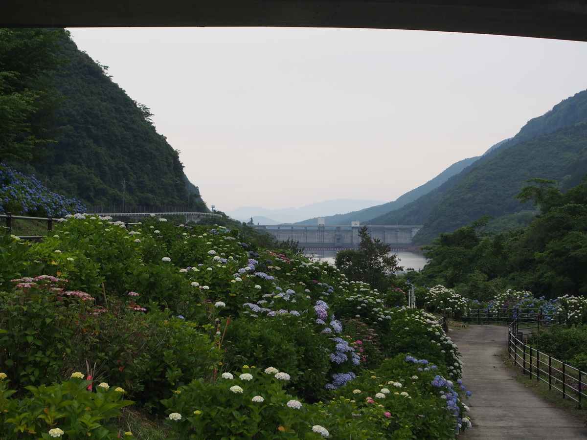 f:id:hanamizuki1966:20190614084209j:plain f:id:hanamizuki1966:20190614084209j:plain