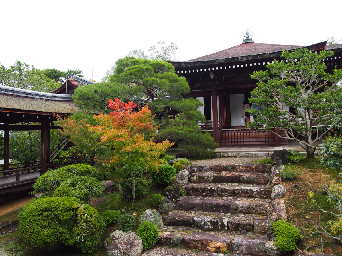 f:id:hanamizuki1966:20191026101049j:plain f:id:hanamizuki1966:20191026101049j:plain