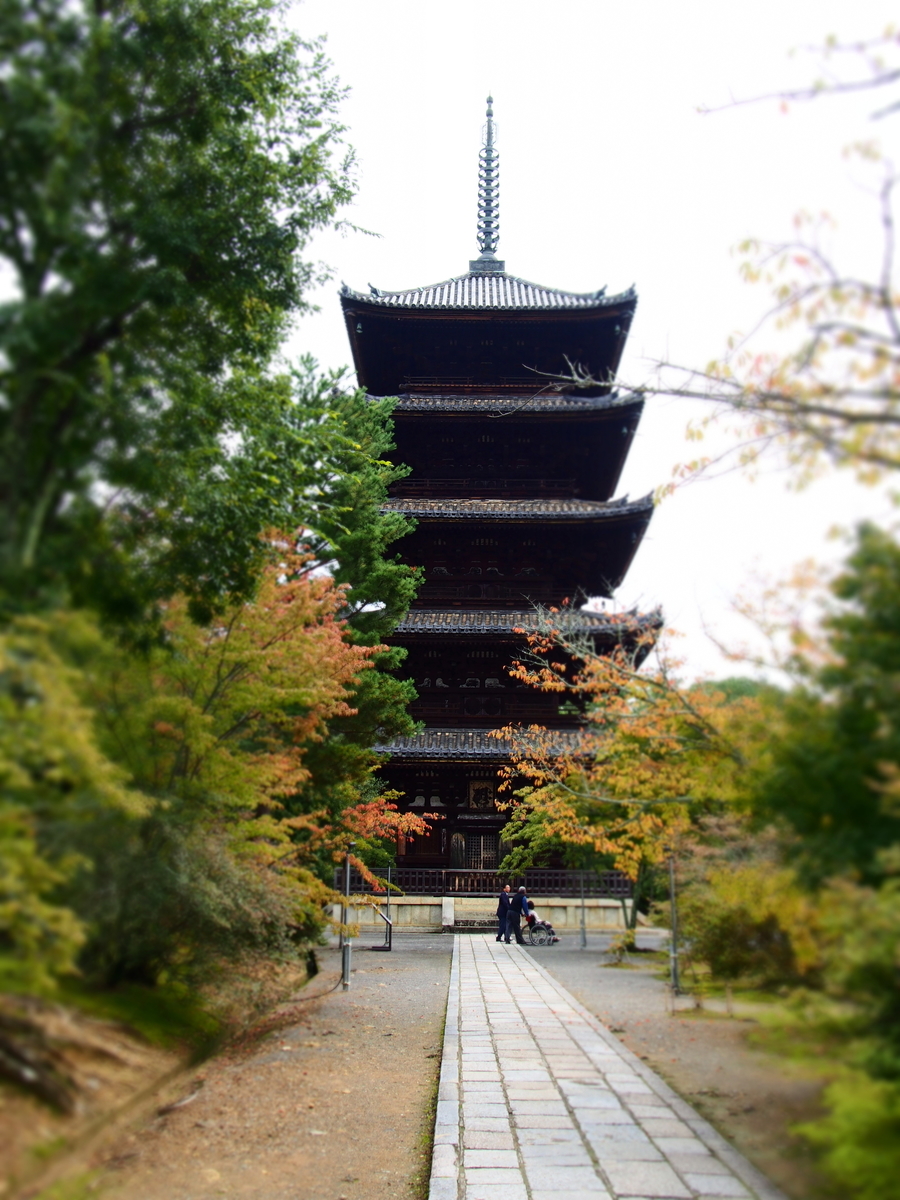 f:id:hanamizuki1966:20191026105351j:plain f:id:hanamizuki1966:20191026105351j:plain