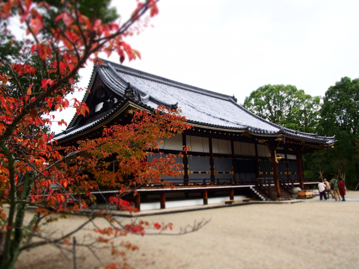 f:id:hanamizuki1966:20191026105615j:plain f:id:hanamizuki1966:20191026105615j:plain