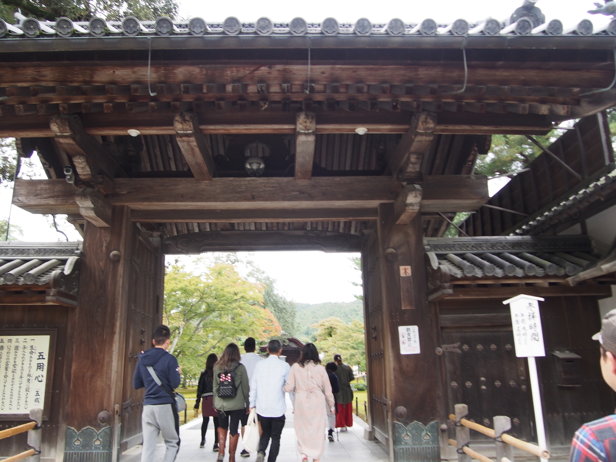 f:id:hanamizuki1966:20191026114614j:plain f:id:hanamizuki1966:20191026114614j:plain