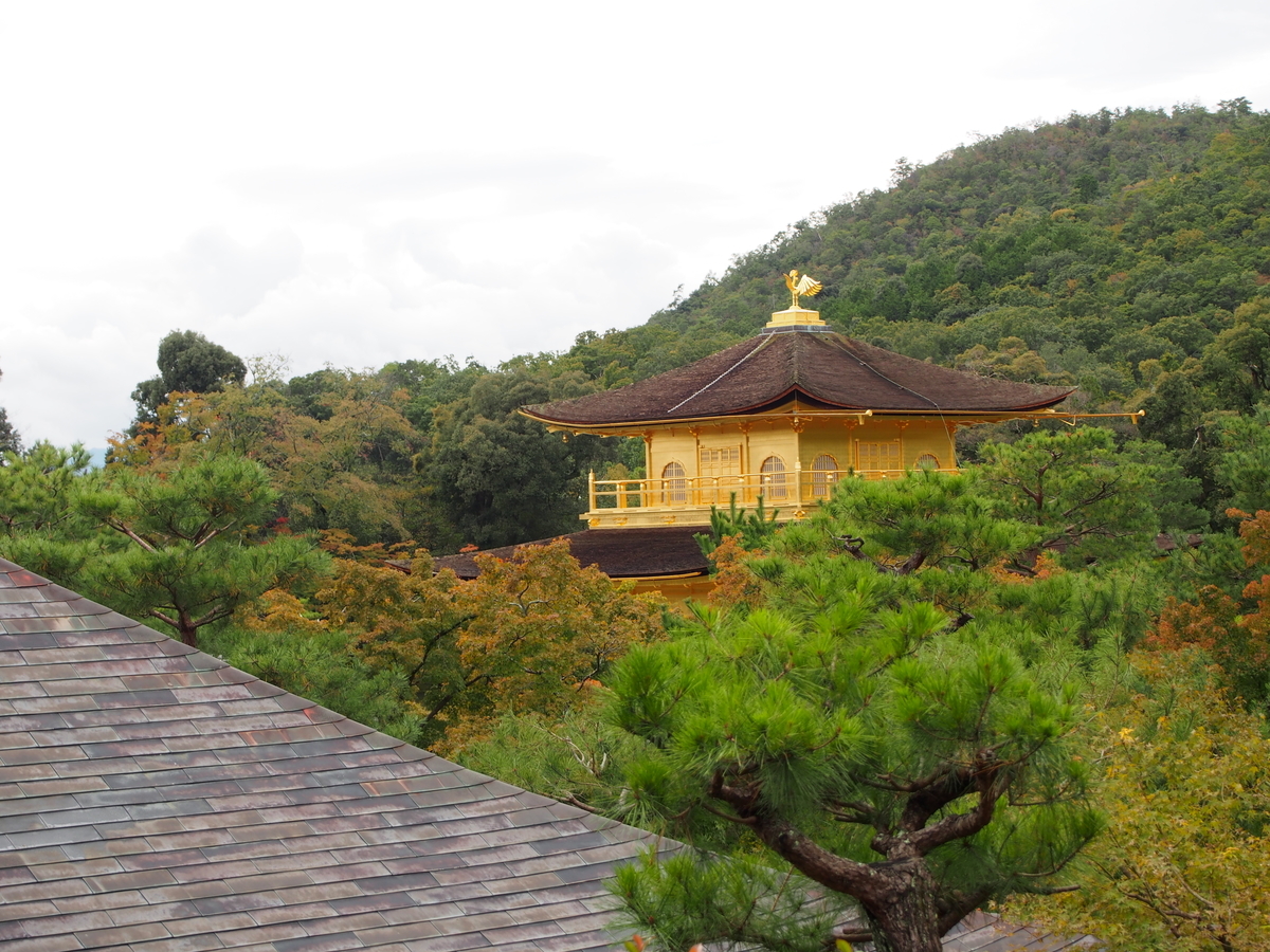 f:id:hanamizuki1966:20191026120430j:plain f:id:hanamizuki1966:20191026120430j:plain