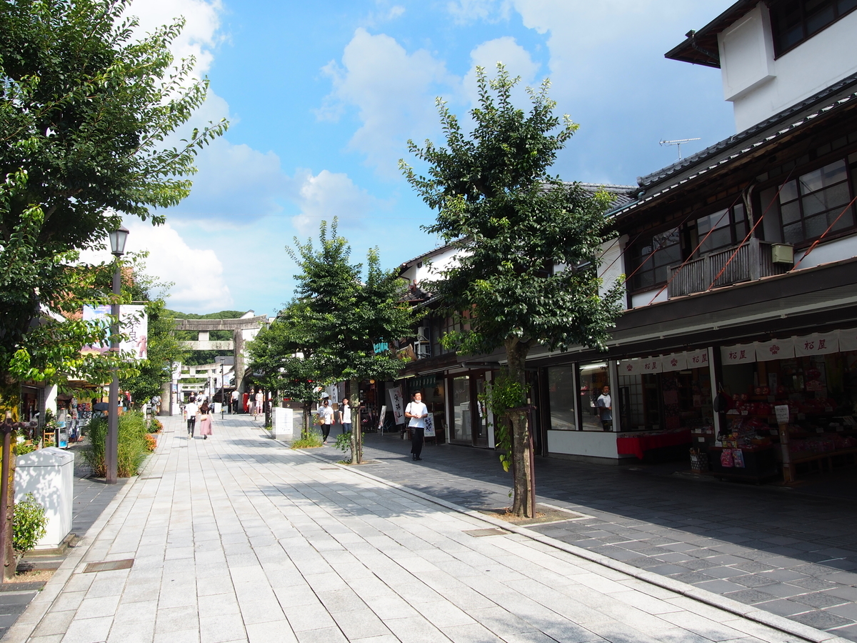 f:id:hanamizuki1966:20200830150738j:plain f:id:hanamizuki1966:20200830150738j:plain