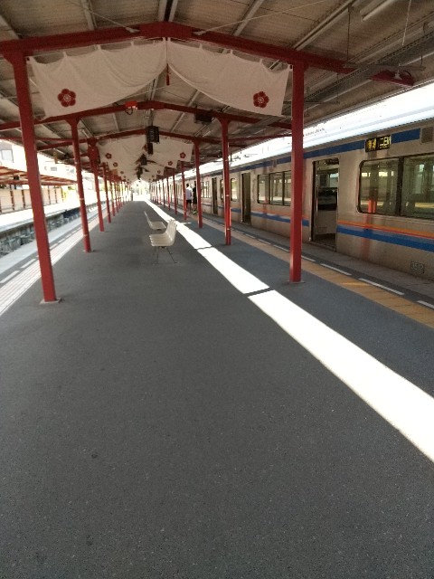 f:id:hanamizuki1966:20200906190049j:plain f:id:hanamizuki1966:20200906190049j:plain