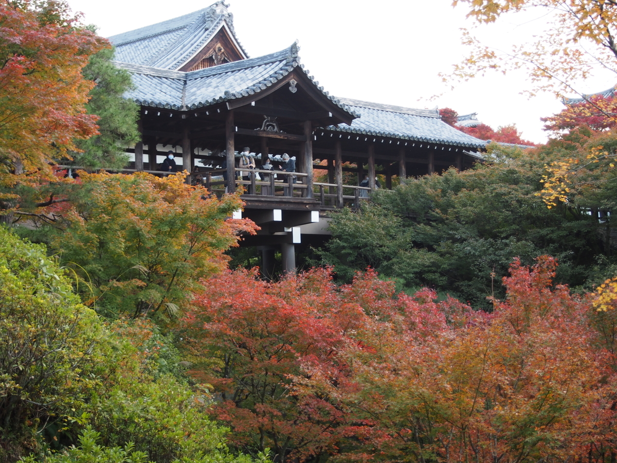 f:id:hanamizuki1966:20201111095914j:plain