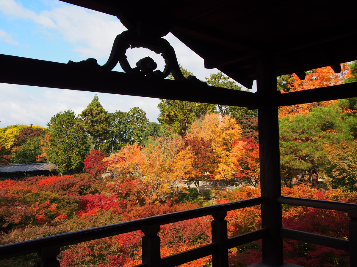 f:id:hanamizuki1966:20201111101352j:plain