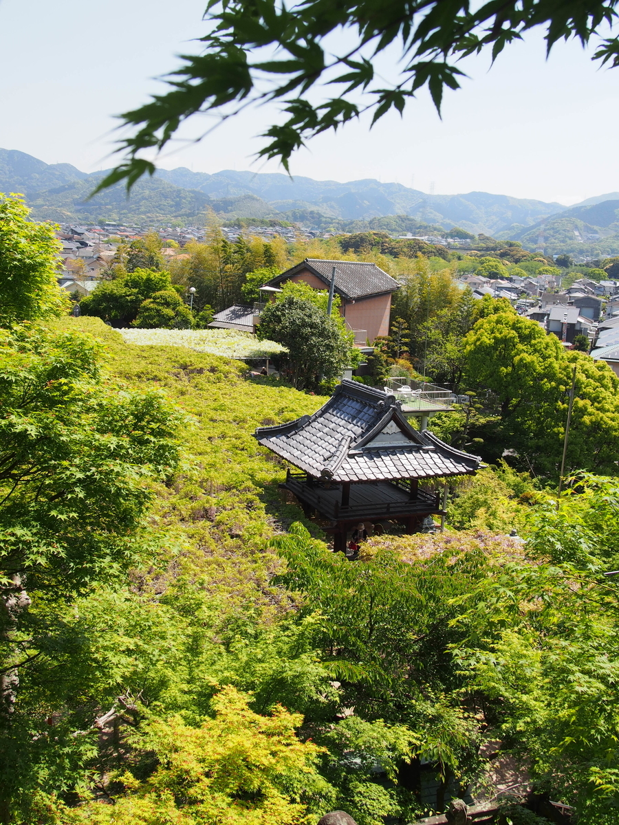 f:id:hanamizuki1966:20210419105443j:plain