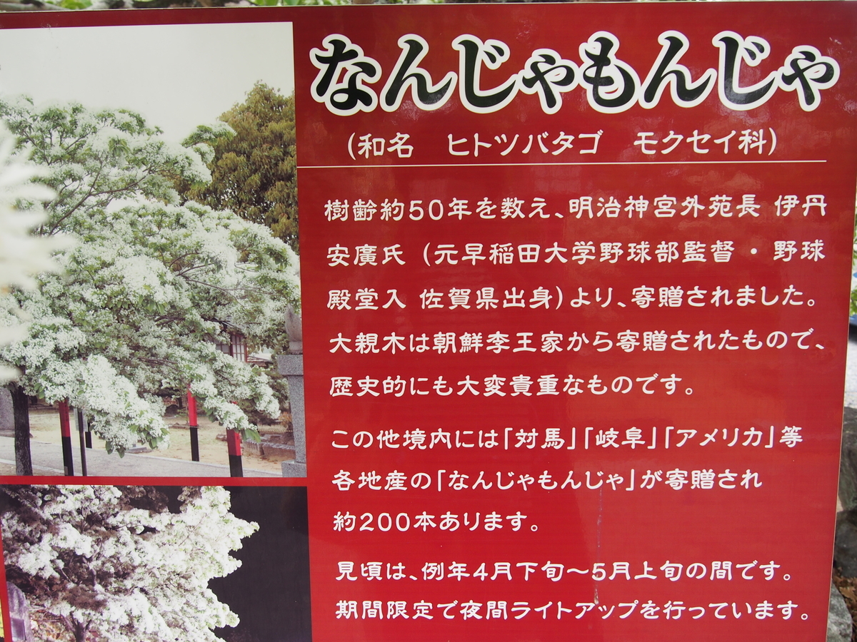 f:id:hanamizuki1966:20210424111324j:plain