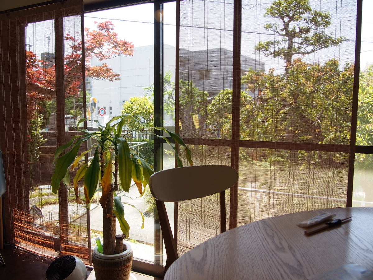 f:id:hanamizuki1966:20210425111513j:plain