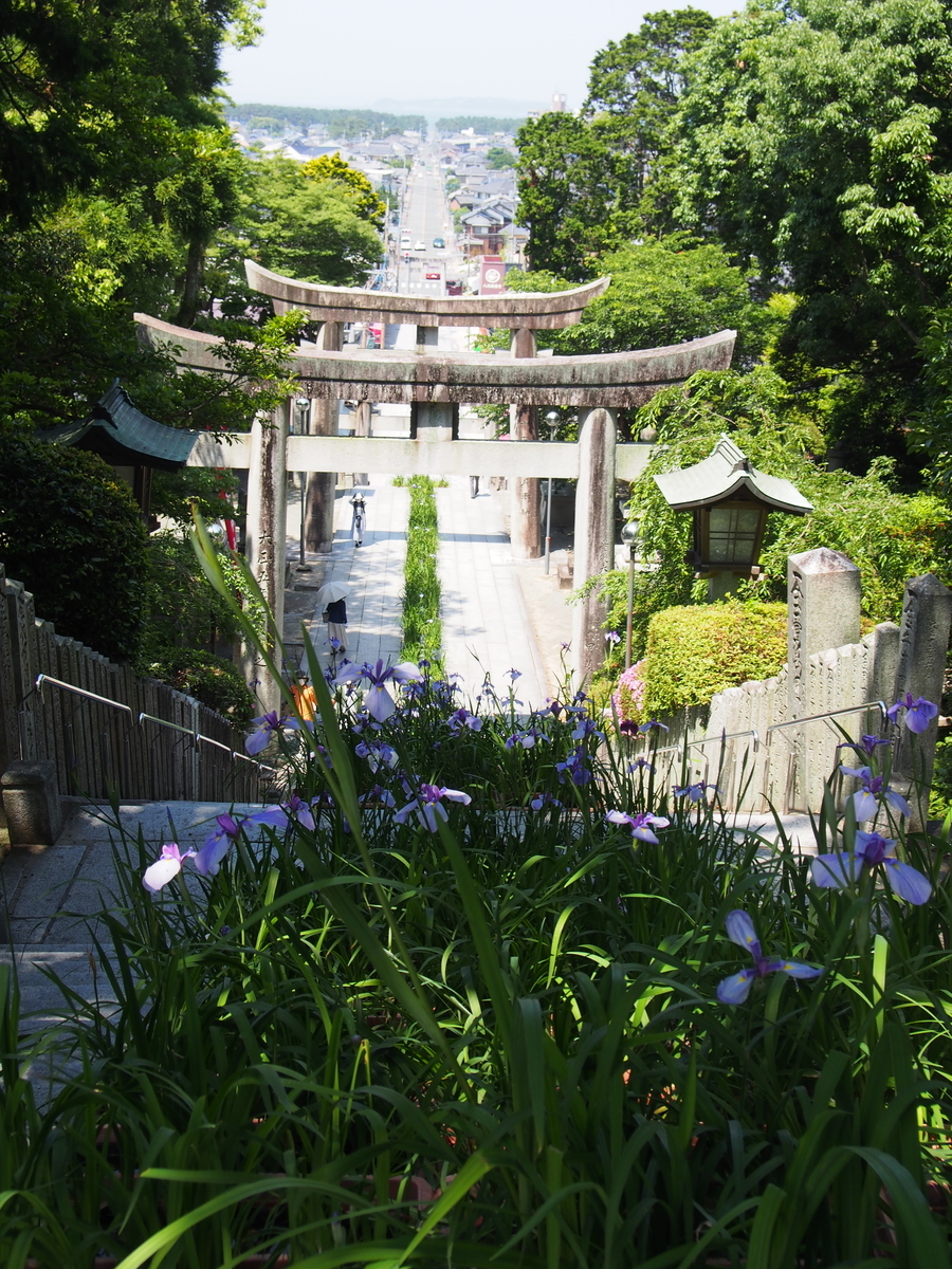 f:id:hanamizuki1966:20210531104629j:plain