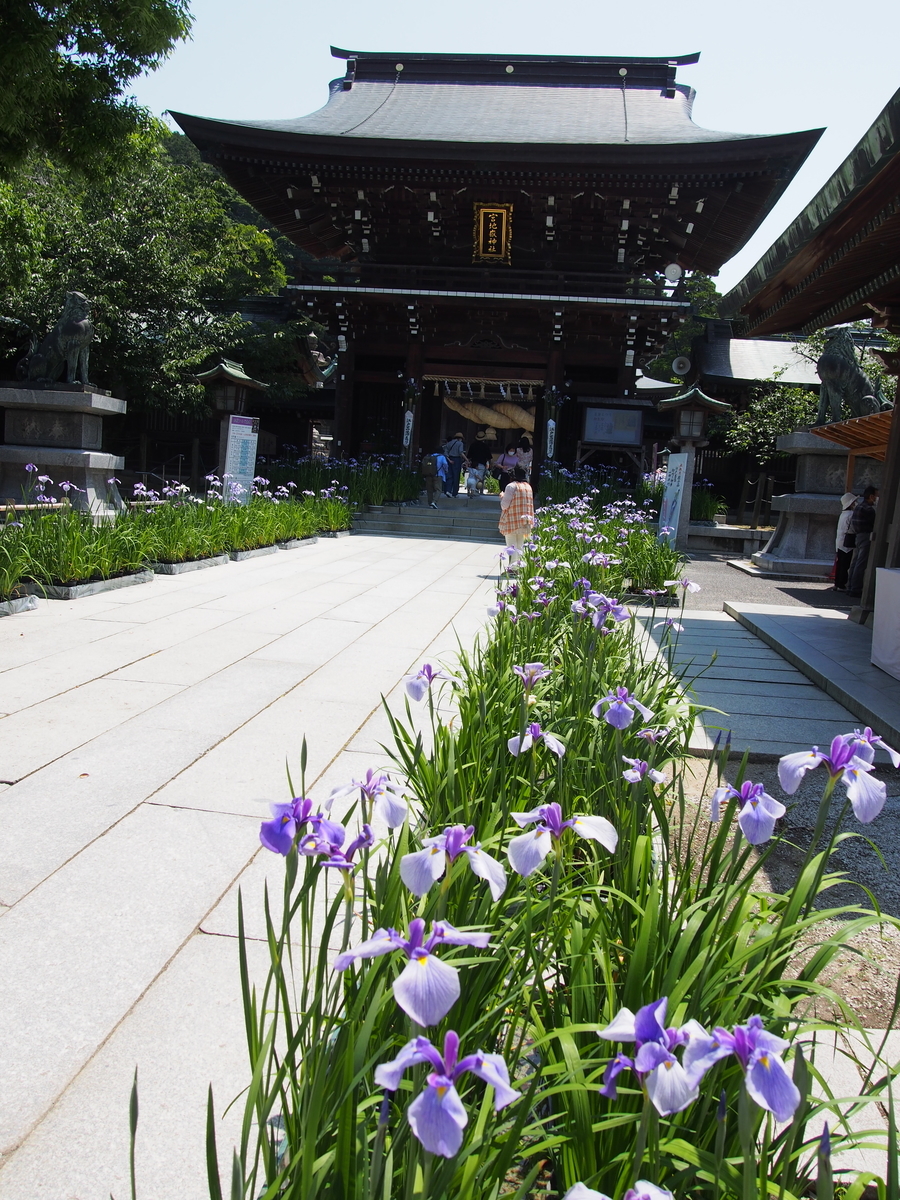f:id:hanamizuki1966:20210531104823j:plain
