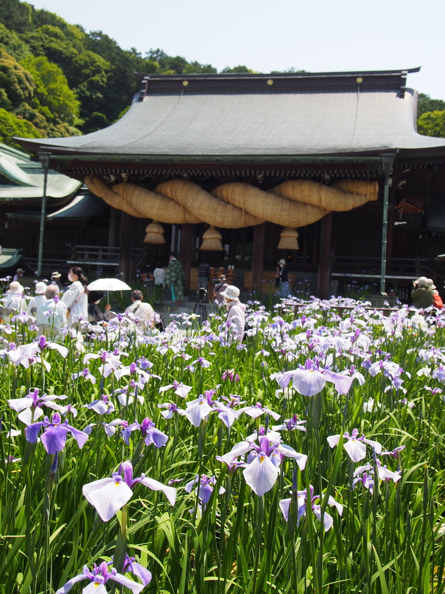 f:id:hanamizuki1966:20210531105211j:plain