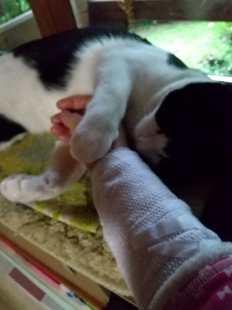 f:id:hanamizuki1966:20210616202529j:plain